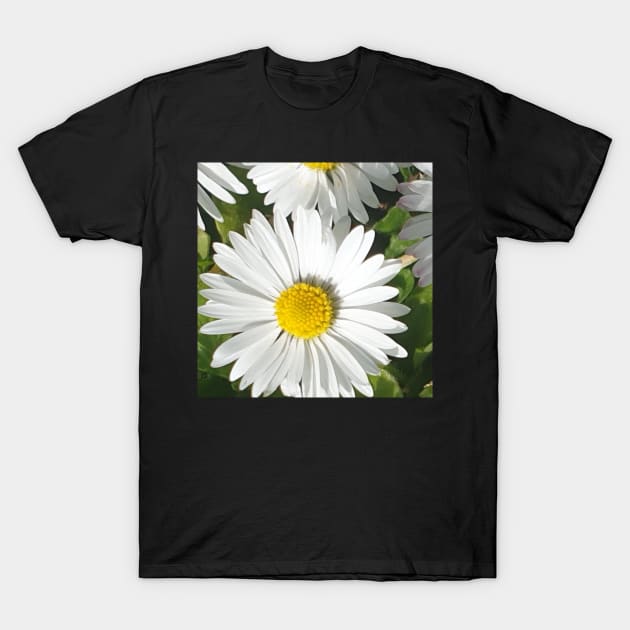 Daisy T-Shirt by Celtic Morrigan